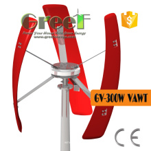 300W kleine vertikale Wind Turbine Kit für zu Hause